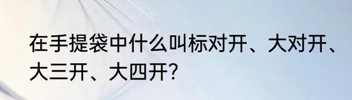 在手提袋中什么叫标对开、大对开、大三开、大四开？