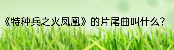 《特种兵之火凤凰》的片尾曲叫什么？