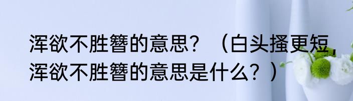 浑欲不胜簪的意思？（白头搔更短，浑欲不胜簪的意思是什么？）