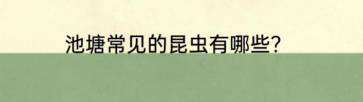 池塘常见的昆虫有哪些？