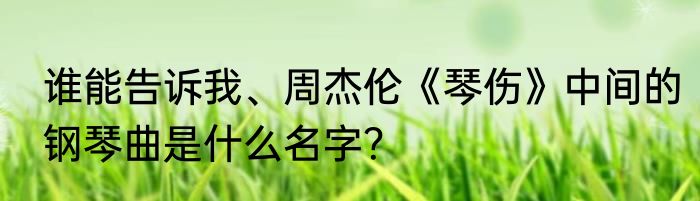 谁能告诉我、周杰伦《琴伤》中间的钢琴曲是什么名字？