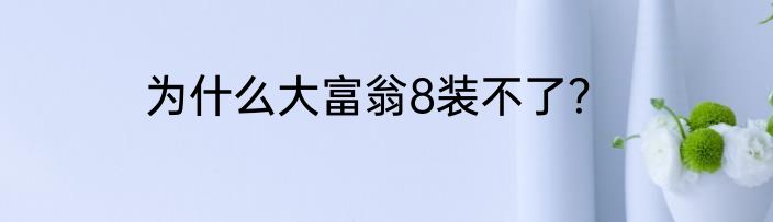 为什么大富翁8装不了？