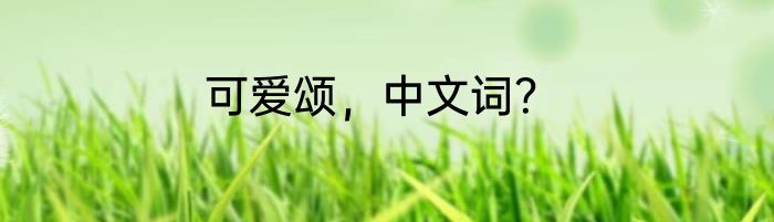 可爱颂，中文词？