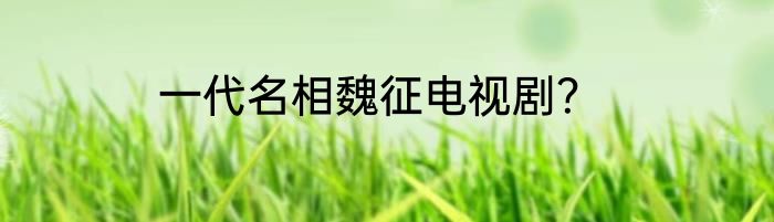 一代名相魏征电视剧？