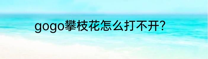 gogo攀枝花怎么打不开？