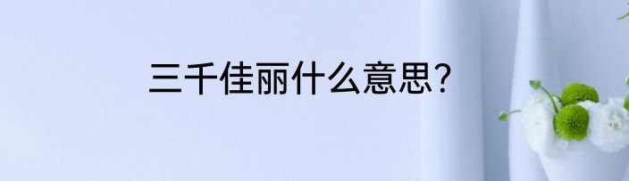 三千佳丽什么意思？