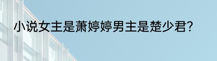 小说女主是萧婷婷男主是楚少君？