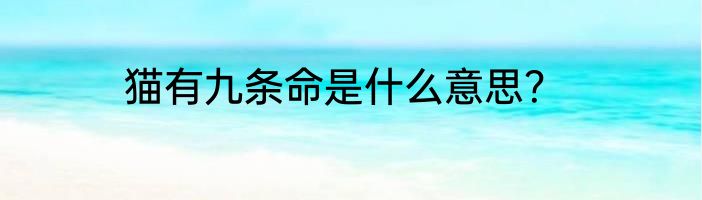 猫有九条命是什么意思？
