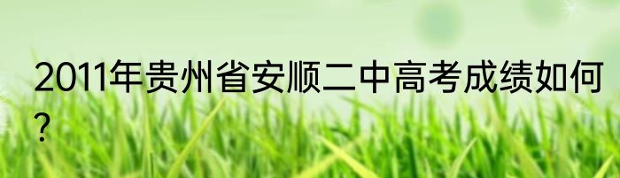 2011年贵州省安顺二中高考成绩如何？
