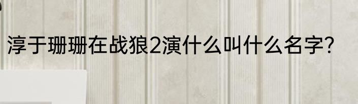 淳于珊珊在战狼2演什么叫什么名字？