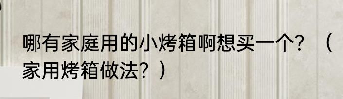 哪有家庭用的小烤箱啊想买一个？（家用烤箱做法？）