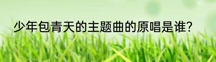 少年包青天的主题曲的原唱是谁？