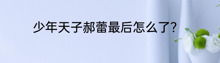 少年天子郝蕾最后怎么了？