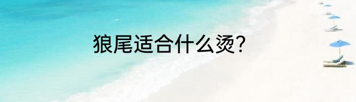 狼尾适合什么烫？