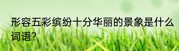 形容五彩缤纷十分华丽的景象是什么词语？