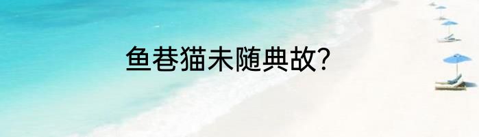 鱼巷猫未随典故？