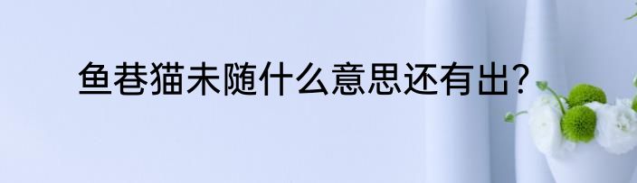 鱼巷猫未随什么意思还有出？