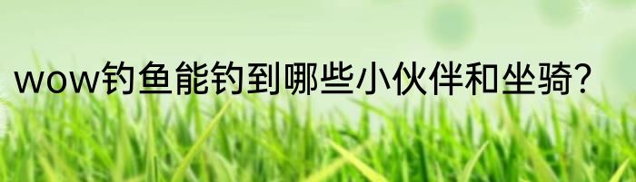 wow钓鱼能钓到哪些小伙伴和坐骑？