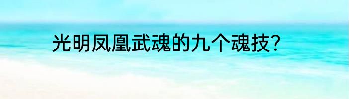 光明凤凰武魂的九个魂技？