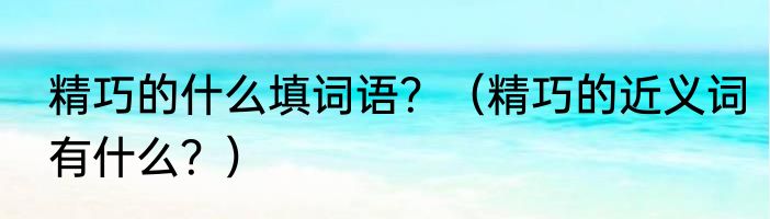 精巧的什么填词语？（精巧的近义词有什么？）