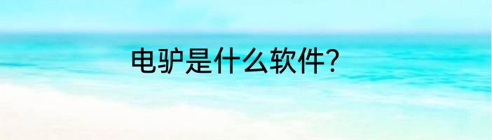 电驴是什么软件？