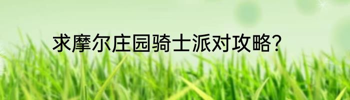 求摩尔庄园骑士派对攻略？