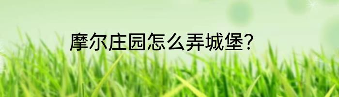 摩尔庄园怎么弄城堡？