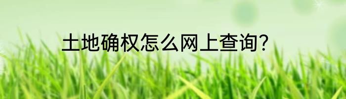 土地确权怎么网上查询？