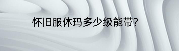 怀旧服休玛多少级能带？