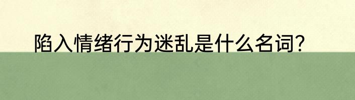 陷入情绪行为迷乱是什么名词？