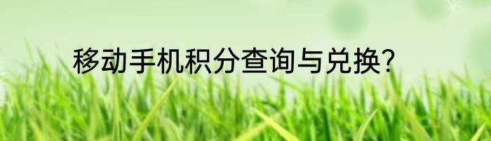移动手机积分查询与兑换？