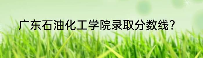 广东石油化工学院录取分数线？