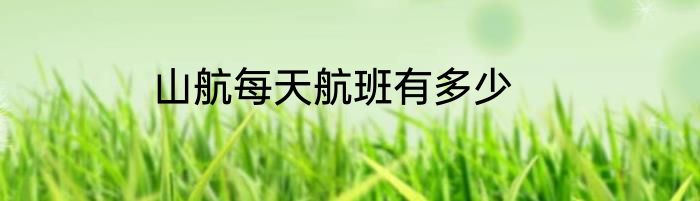 山航每天航班有多少