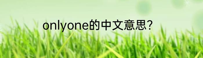 onlyone的中文意思？