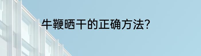 牛鞭晒干的正确方法？