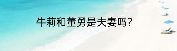牛莉和董勇是夫妻吗？