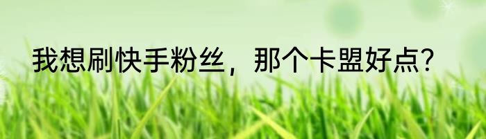 我想刷快手粉丝，那个卡盟好点？