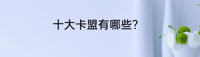 十大卡盟有哪些？