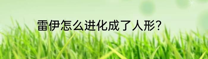 雷伊怎么进化成了人形？