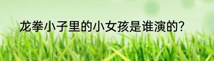 龙拳小子里的小女孩是谁演的？