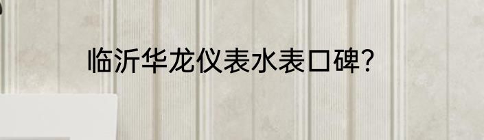 临沂华龙仪表水表口碑？