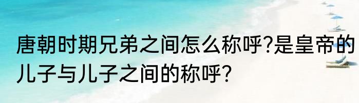 唐朝时期兄弟之间怎么称呼?是皇帝的儿子与儿子之间的称呼？