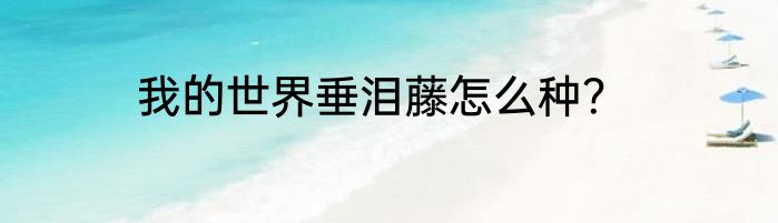 我的世界垂泪藤怎么种？