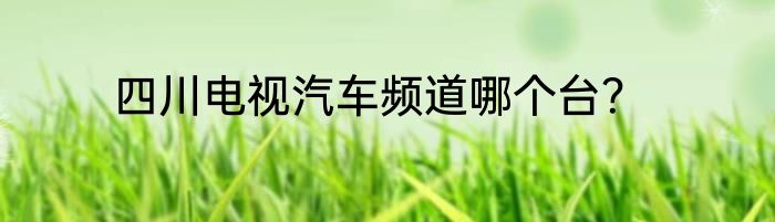 四川电视汽车频道哪个台?