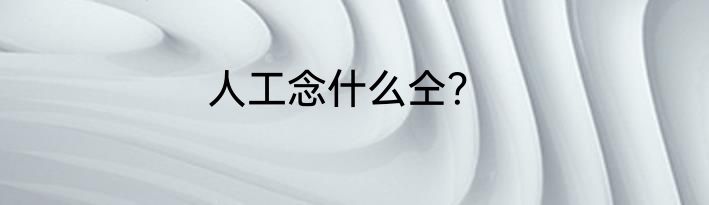 人工念什么仝？