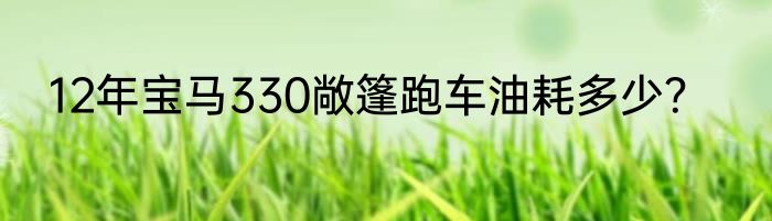 12年宝马330敞篷跑车油耗多少？
