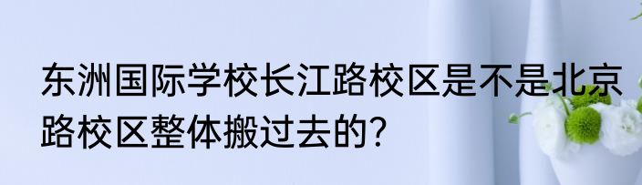 东洲国际学校长江路校区是不是北京路校区整体搬过去的?