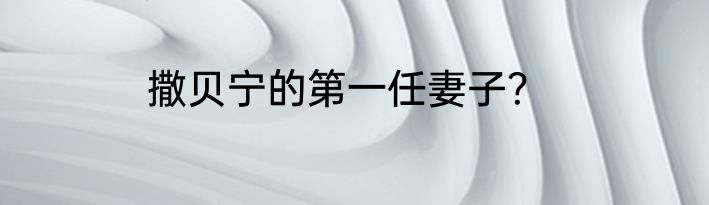 撒贝宁的第一任妻子？