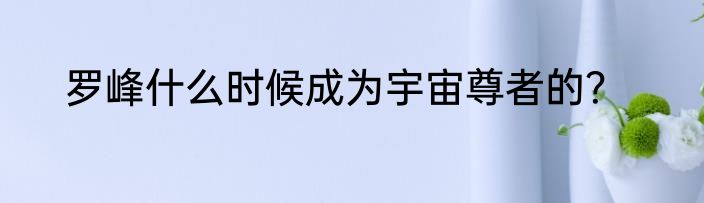 罗峰什么时候成为宇宙尊者的？