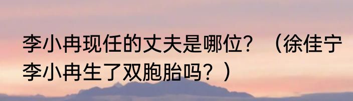 李小冉现任的丈夫是哪位？（徐佳宁李小冉生了双胞胎吗？）